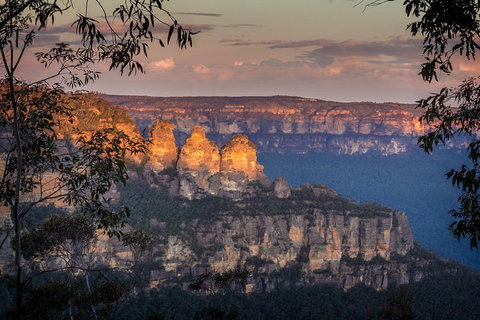 Private Blue Mountains Tour With Kangaroo And Koala Experience - Attractions Brisbane 1