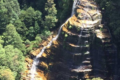 Private Blue Mountains Tour With Kangaroo And Koala Experience - Attractions Brisbane 5