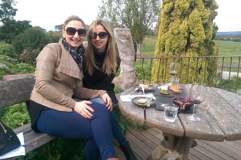 McLaren Vale Intimate Winery Tour By Private Limo - Attractions Brisbane 4