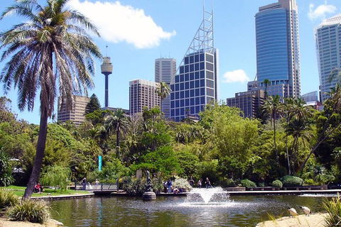 Private Sydney Half Day Tour Including Sydney Opera House And Bondi Beach - Attractions Brisbane 4