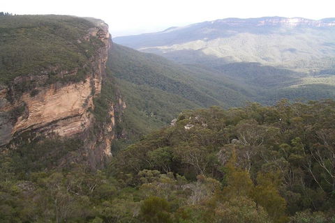 Full-Day Private Blue Mountains Tour With River Cruise - Attractions Brisbane 3