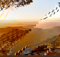O'Reilly's  Lamington National Park incl. Alpaca Farm  Vineyard - Attractions Brisbane