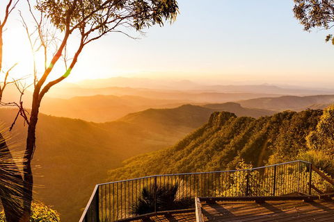 O'Reilly's & Lamington National Park Incl. Alpaca Farm + Vineyard - Attractions Brisbane 0