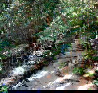 Fraser Island 4WD Tour from Rainbow Beach - Attractions Brisbane