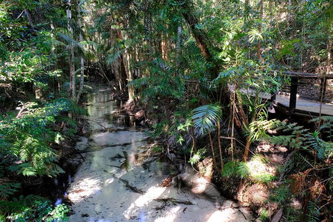Fraser Island 4WD Tour From Rainbow Beach - Attractions Brisbane 0