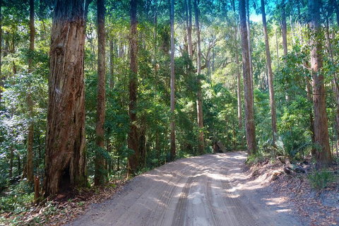 Fraser Island 4WD Tour From Rainbow Beach - Attractions Brisbane 4