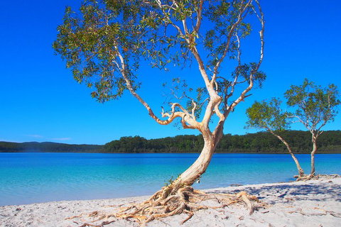 Fraser Island 4WD Tour From Rainbow Beach - Attractions Brisbane 5