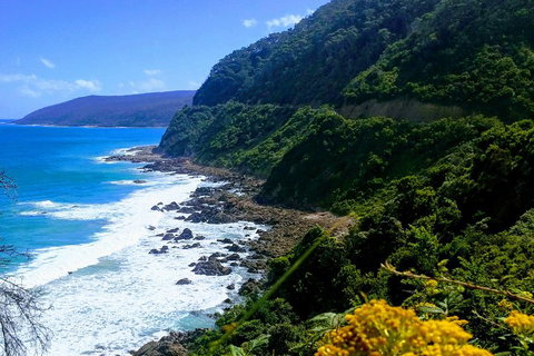 Great Ocean Road Adventure - Private Tour - Reverse - Attractions Brisbane 3