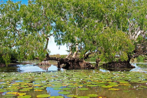 Ethical Adventures - Best In The WET - Litchfield / Kakadu 3 Day- Max 10 Guests - Attractions Brisbane 1