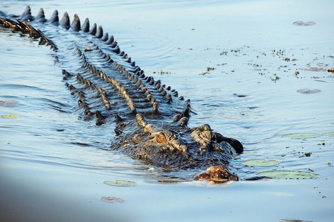 Ethical Adventures - Best In The WET - Litchfield / Kakadu 3 Day- Max 10 Guests - Attractions Brisbane 4