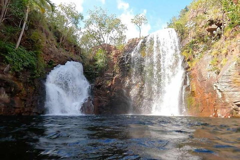 Ethical Adventures - Best In The WET - Litchfield / Kakadu 3 Day- Max 10 Guests - Attractions Brisbane 5