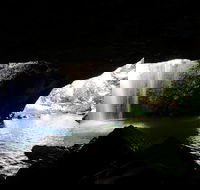 Rainforest  Waterfalls Extravaganza - Attractions Brisbane