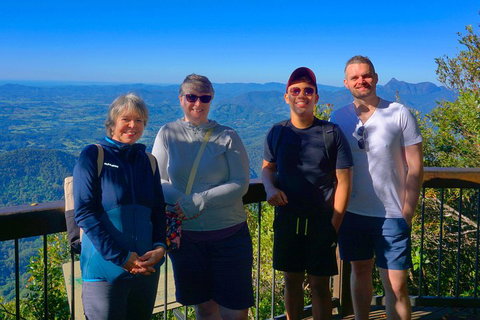 Natural Arch, Rainforest & Volcano Canyon - Private Half Day Tour - Attractions Brisbane 3