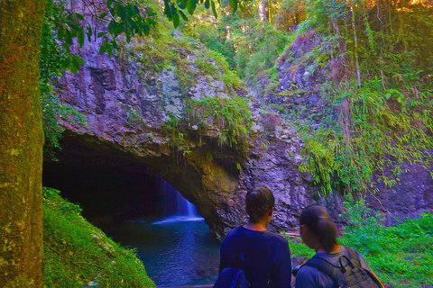 Natural Arch, Rainforest & Volcano Canyon - Private Half Day Tour - Attractions Brisbane 4
