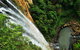 Natural Arch, Rainforest & Volcano Canyon - Private Half Day Tour - thumb 5