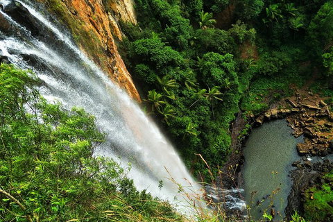 Natural Arch, Rainforest & Volcano Canyon - Private Half Day Tour - Attractions Brisbane 5