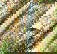 Private Tour - Rainforest  Waterfalls Extravaganza - Attractions Brisbane