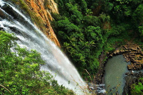 Private Tour - Rainforest & Waterfalls Extravaganza - Attractions Brisbane 2