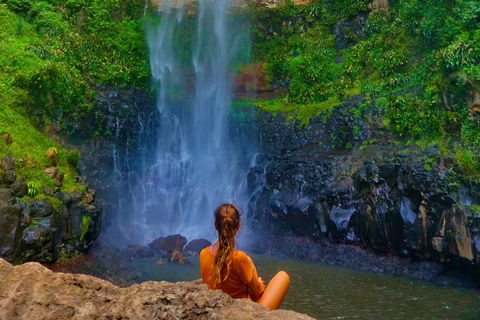 Private Tour - Rainforest & Waterfalls Extravaganza - Attractions Brisbane 3