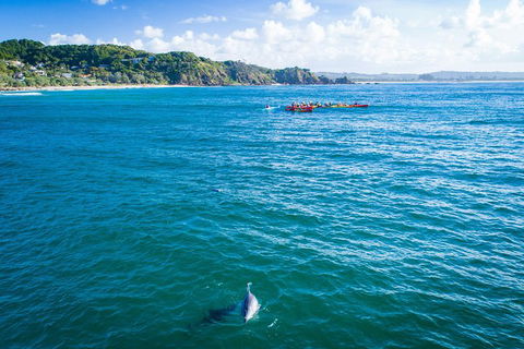The Byron Bay Sea Kayak Tour - Attractions Brisbane 2