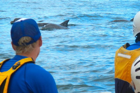 The Byron Bay Sea Kayak Tour - Attractions Brisbane 4
