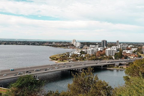 Highlights Of Kings Park - Attractions Brisbane 2