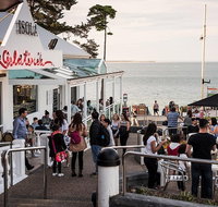 Phillip Island and French Island Wildlife Expedition - Attractions Brisbane