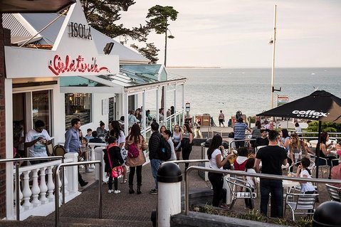 Phillip Island And French Island Wildlife Expedition - Attractions Brisbane 0