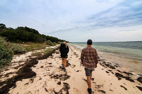 Phillip Island And French Island Wildlife Expedition - Attractions Brisbane 1