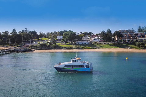 Phillip Island And French Island Wildlife Expedition - Attractions Brisbane 2