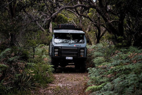 Phillip Island And French Island Wildlife Expedition - Attractions Brisbane 4