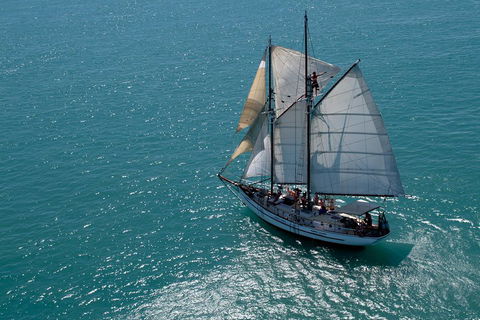 Whitehaven Beach Sailing And Snorkeling Cruise - Attractions Brisbane 1