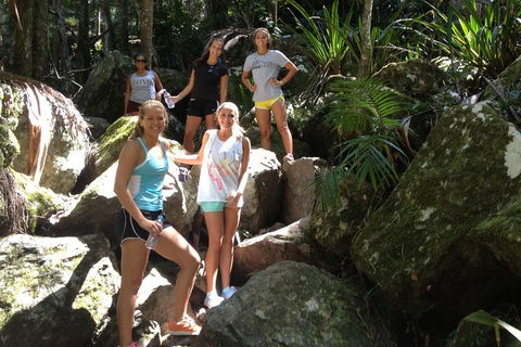 Byron Bay Hinterland Tour Including Rainforest Walk To Minyon Falls - Attractions Brisbane 3