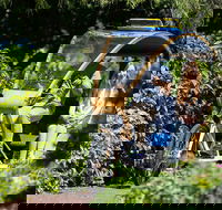 Adelaide 90-Minute Pedicab Tour Scenic Green  River Experience - Attractions Brisbane