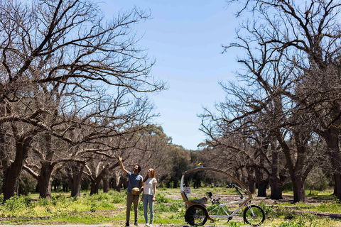 Adelaide 90-Minute Pedicab Tour: Scenic Green & River Experience - Attractions Brisbane 1