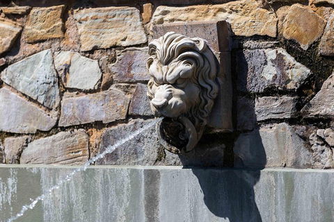 Adelaide 90-Minute Pedicab Tour: Scenic Green & River Experience - Attractions Brisbane 3