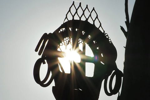 Wave Rock, Wild Flowers And Astro Photography - Attractions Brisbane 4