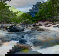 Cape Tribulation Day Tour - Attractions Brisbane