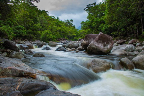 Cape Tribulation Day Tour - Attractions Brisbane 0
