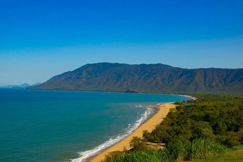 Cape Tribulation Day Tour - Attractions Brisbane 1