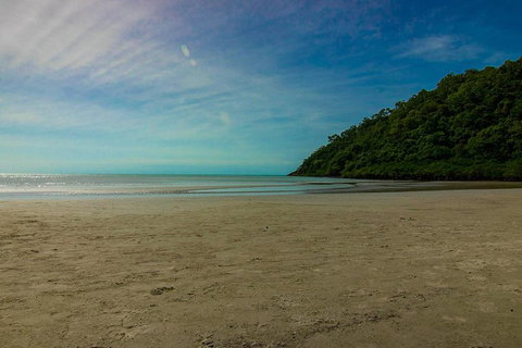 Cape Tribulation Day Tour - Attractions Brisbane 2