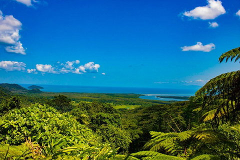 Cape Tribulation Day Tour - Attractions Brisbane 3