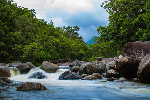 Cape Tribulation Day Tour - Attractions Brisbane 4