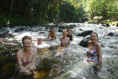 Daintree Rainforest Cape Tribulation Mossman Gorge Small-Group Day Tour