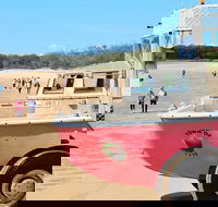 1770 Coastline Tour by LARC Amphibious Vehicle Including Picnic Lunch - Attractions Brisbane