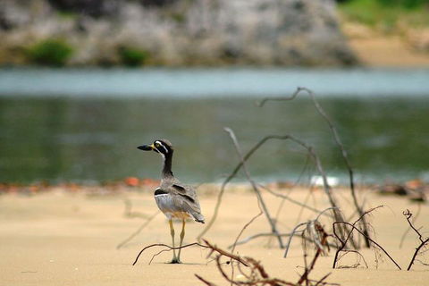 1770 Coastline Tour By LARC Amphibious Vehicle Including Picnic Lunch - Attractions Brisbane 3