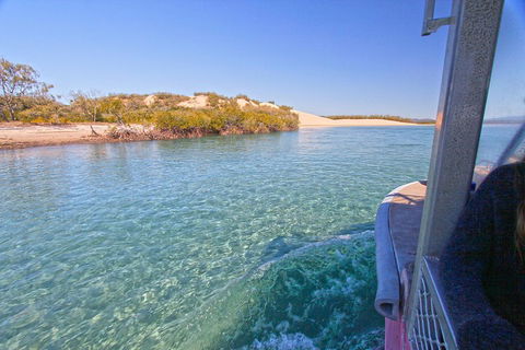 1770 Coastline Tour By LARC Amphibious Vehicle Including Picnic Lunch - Attractions Brisbane 5