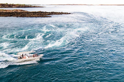 Giant Tides Tour - Cygnet Bay Pearl Farm - Attractions Brisbane 4