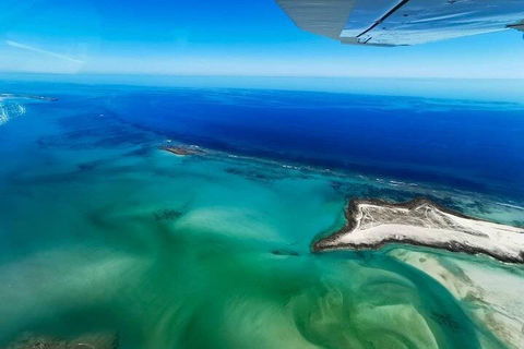Wet Season Incredible Islands Tour - Horizontal Falls & Cygnet Bay Pearl Farm - Attractions Brisbane 4