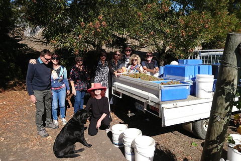 Valleys Of Vino Tour - Attractions Brisbane 1
